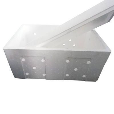 EPS köpük kalıbı özel hassas tutarlı ürün üretimi