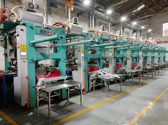 Meyve Kutusu Buzdolabı Paketi Üretim hattı için Otomatik EPS Şekil Kalıplama Makinesi
