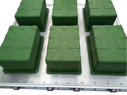 Taze Meyve Sebze Paketleme için ISO9001 Balık Kutusu EPS Kalıp