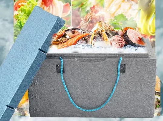 Balık Kutusu EPP EPS Kalıp 6063 Deniz Ürünleri ve Taze Meyve İçin Alüminyum Alaşım